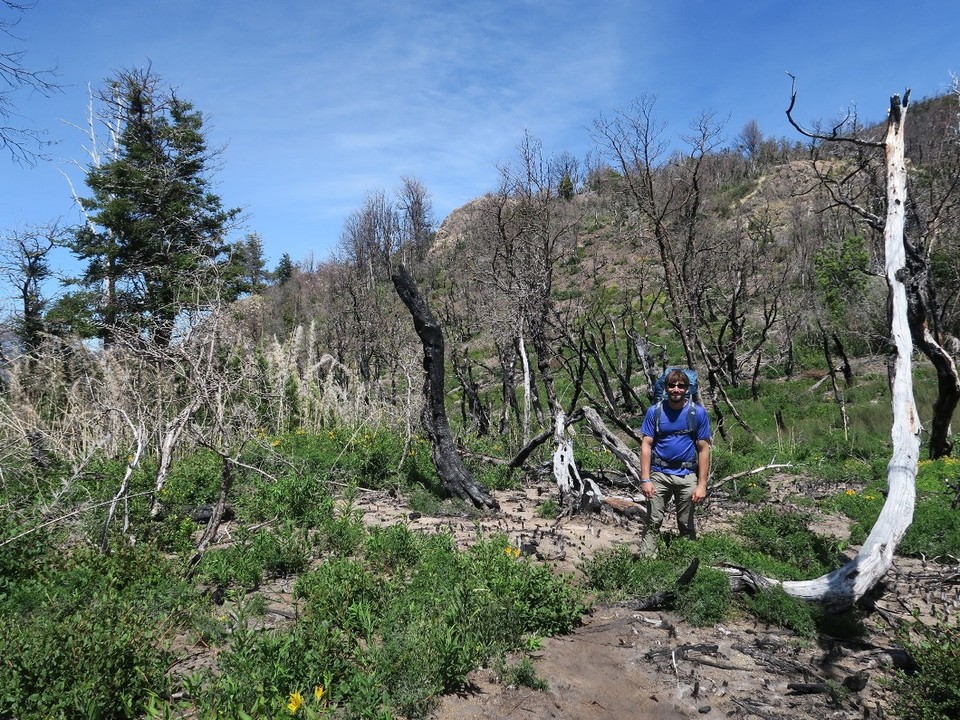 Argentina - Esquel - La rando du parc : on mettra 9h, 17 km avec nos sacs...1ere partie dans la foret brulee