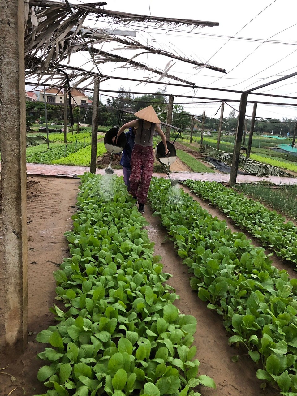 Vietnam - Hội An - 