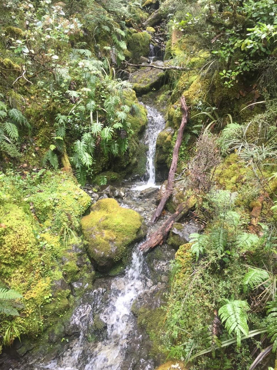 Neuseeland - Leeston - 