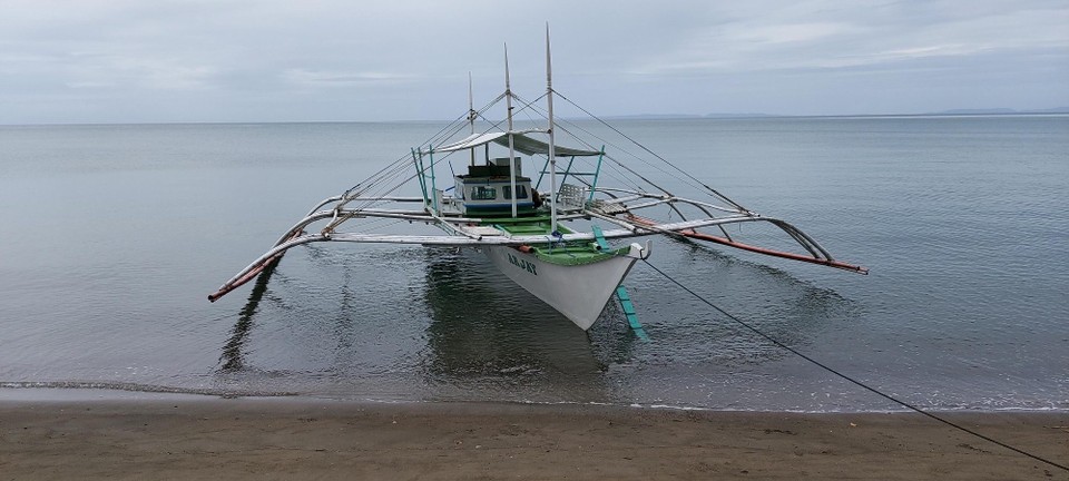 Philippines - Donsol - 