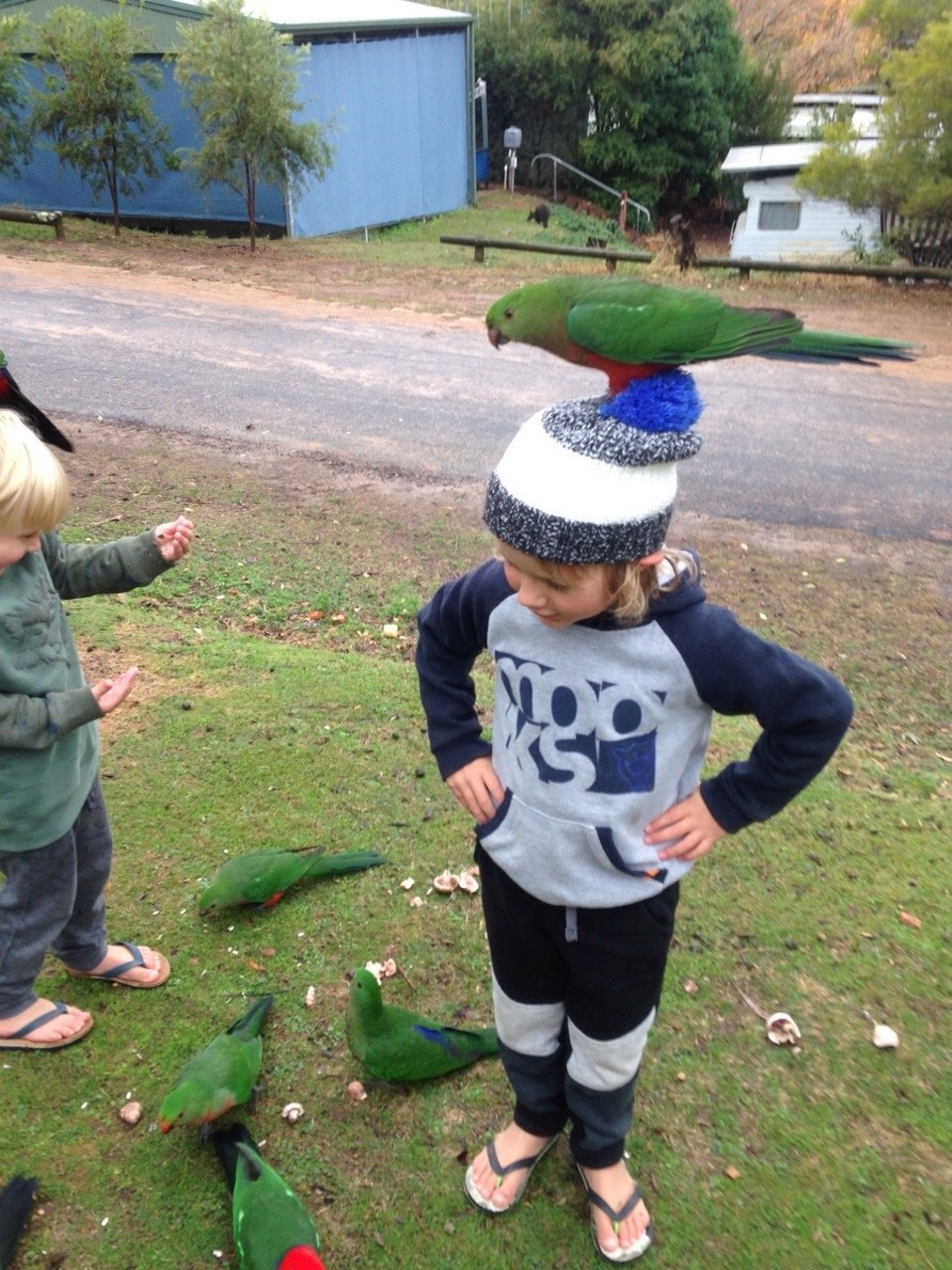 Australia - Burrinjuck - 