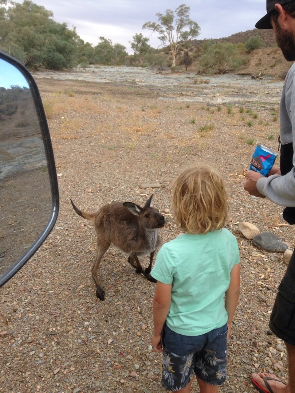 Australia - Flinders Ranges - 