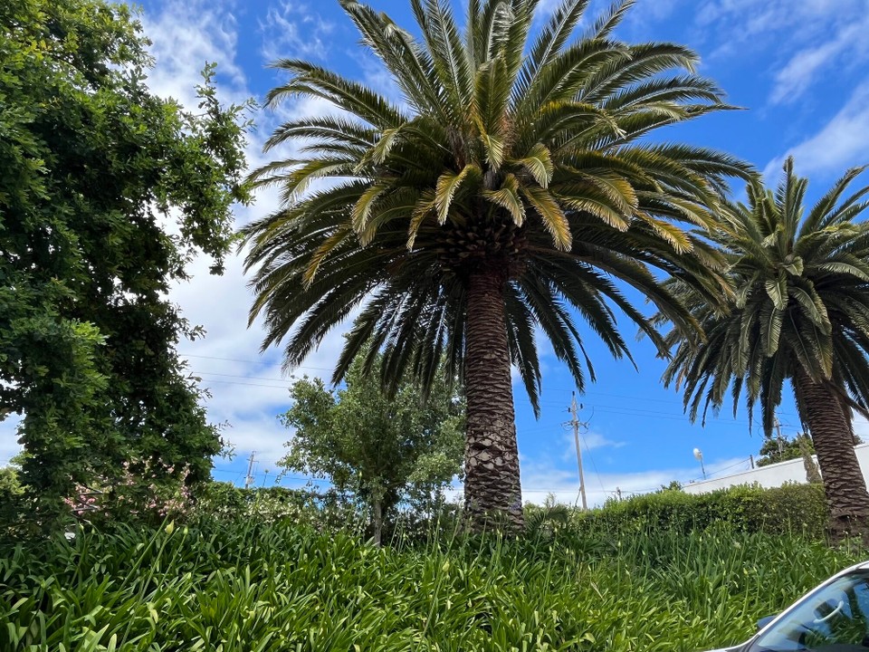 Südafrika - Stellenbosch - 