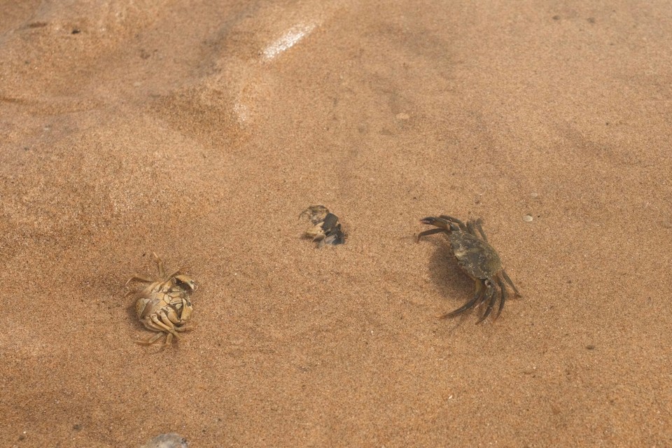 Portugal - Aljezur - 