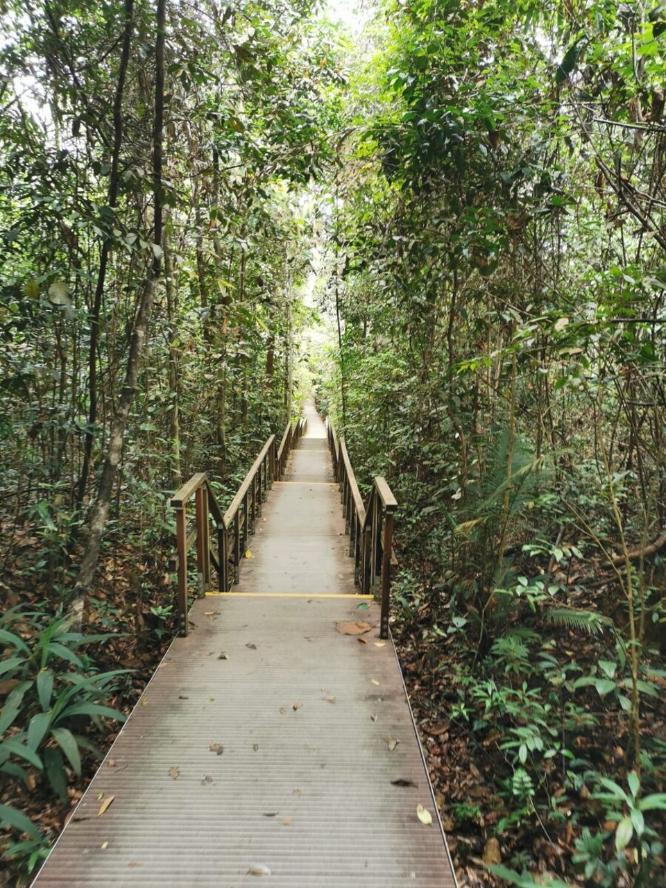 Singapur - Singapur - 