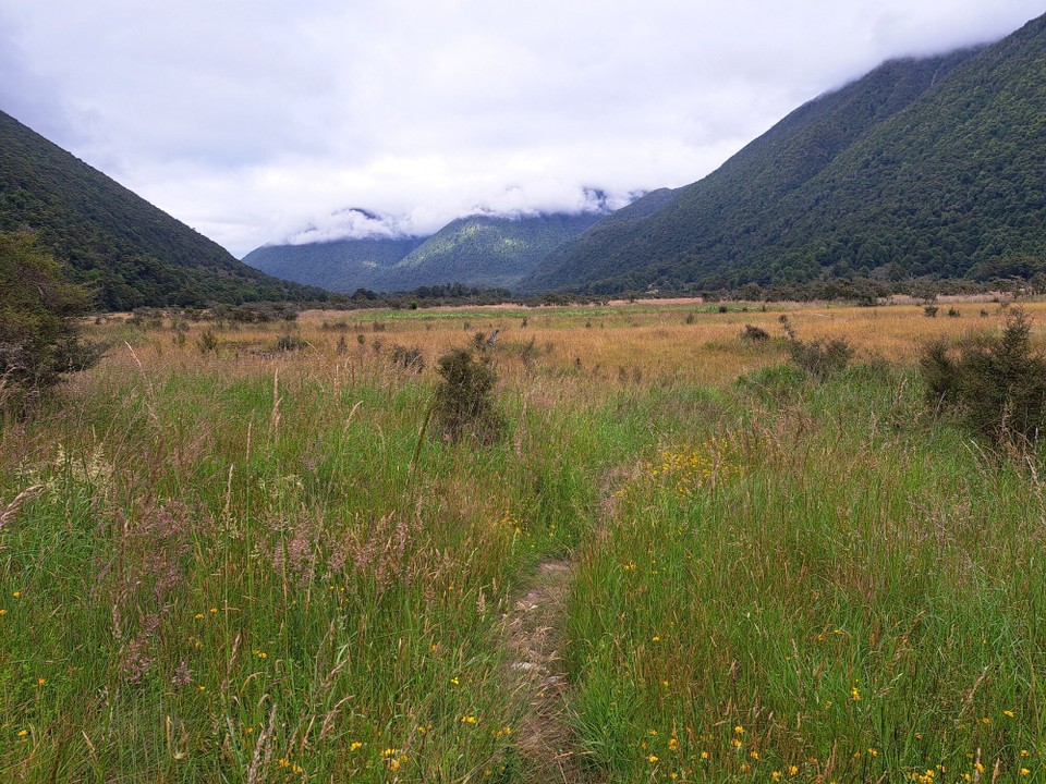 Neuseeland - Nelson Lakes National Park - 