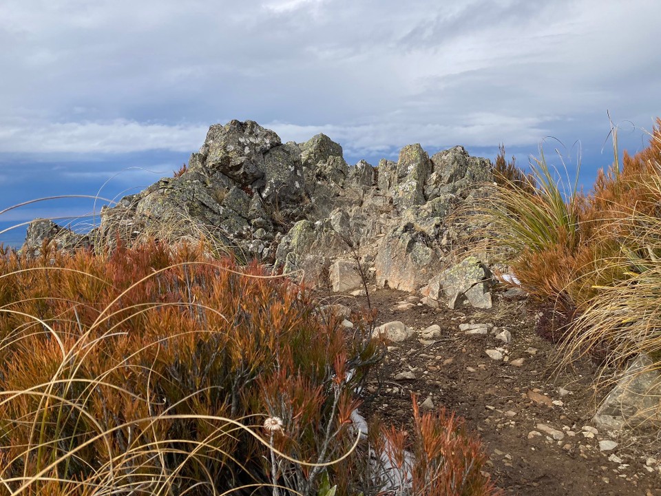 Neuseeland - Mount Peel - 