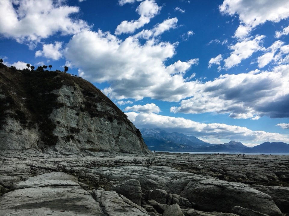 Neuseeland - Kaikoura Peninsula - Nächster Tag (17.2): Point Kean 