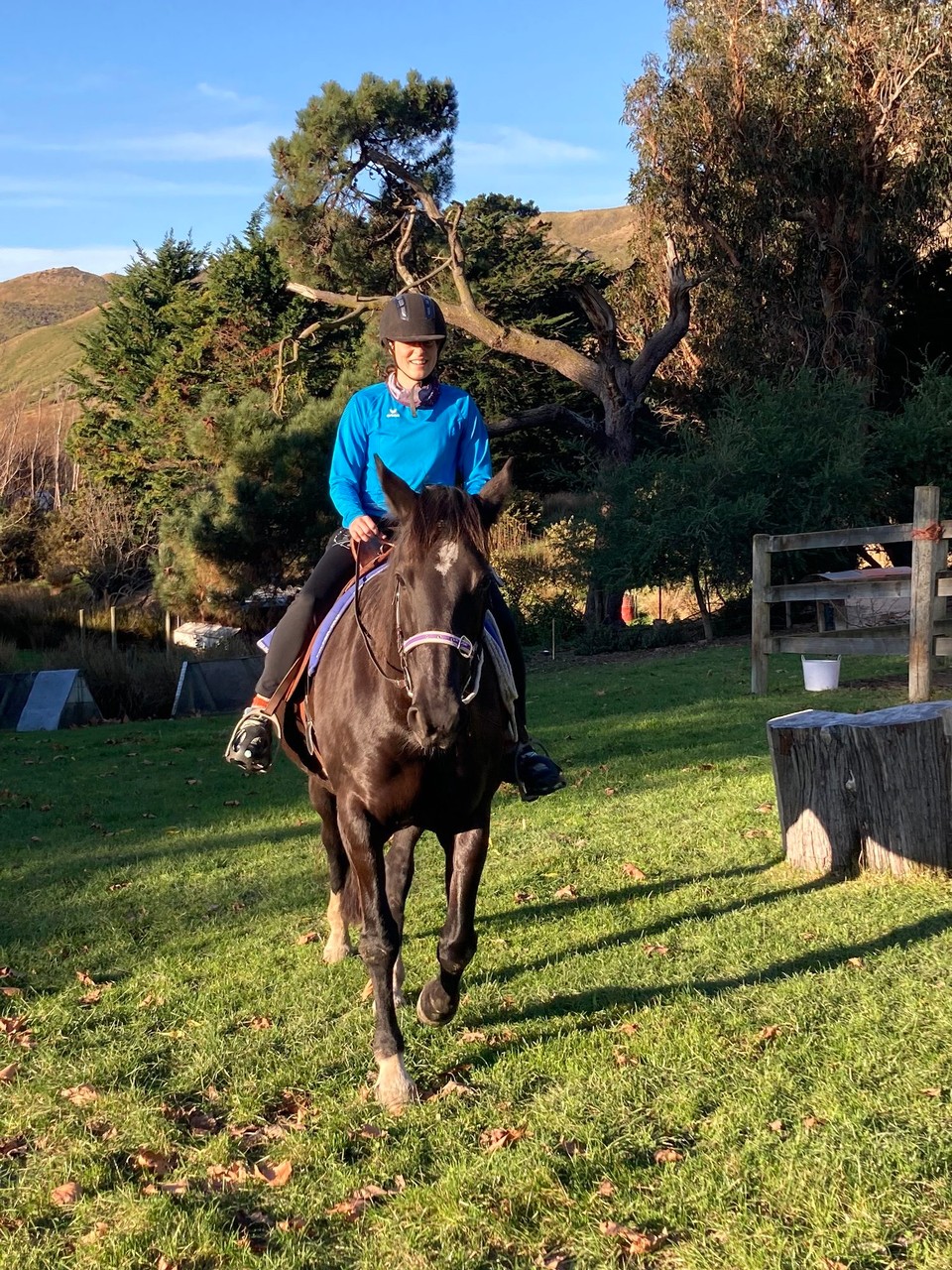 Neuseeland - Ward - Schon ein gutes Gefühl so hoch zu Ross zu sein 😀