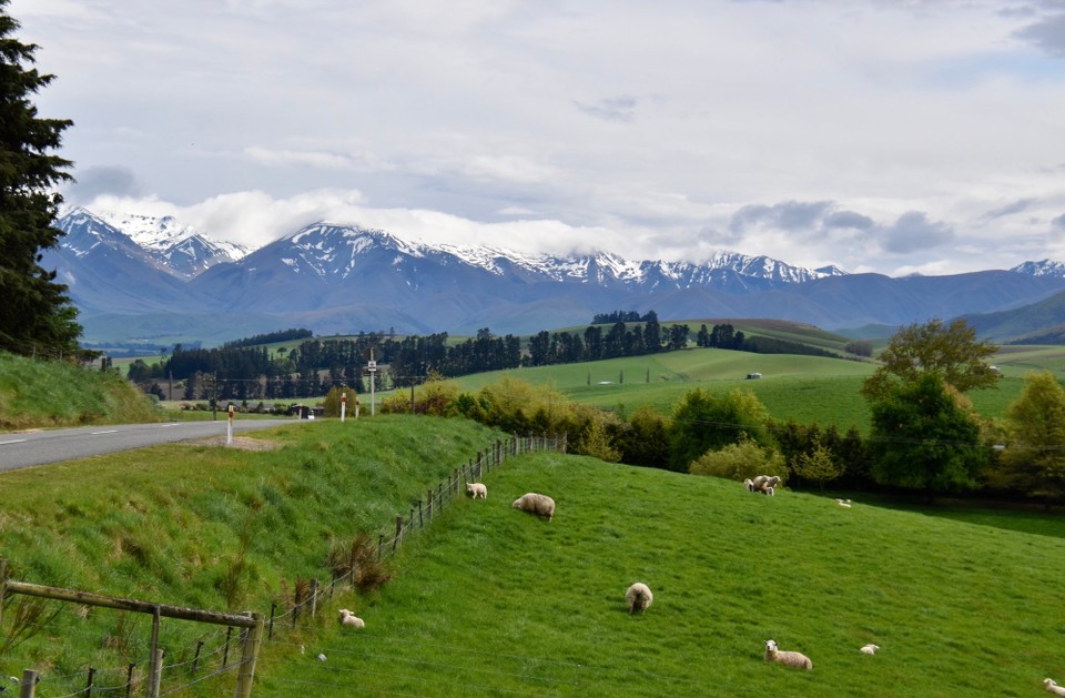 Neuseeland - Christchurch - Unterwegs nochmals ein Blick auf die Berge.