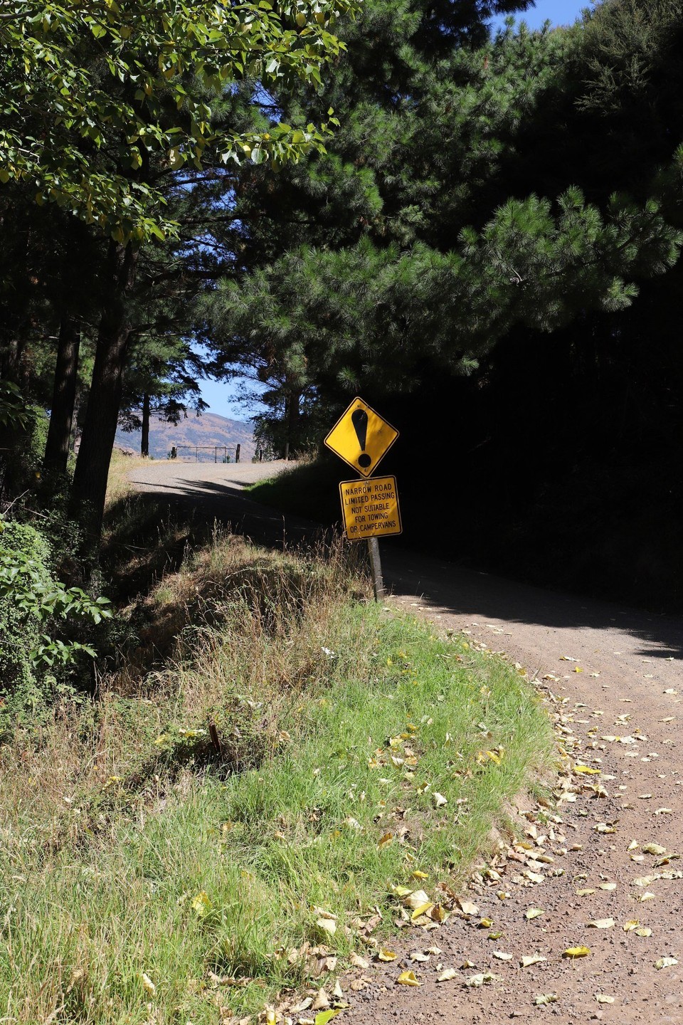 Neuseeland - Akaroa - 