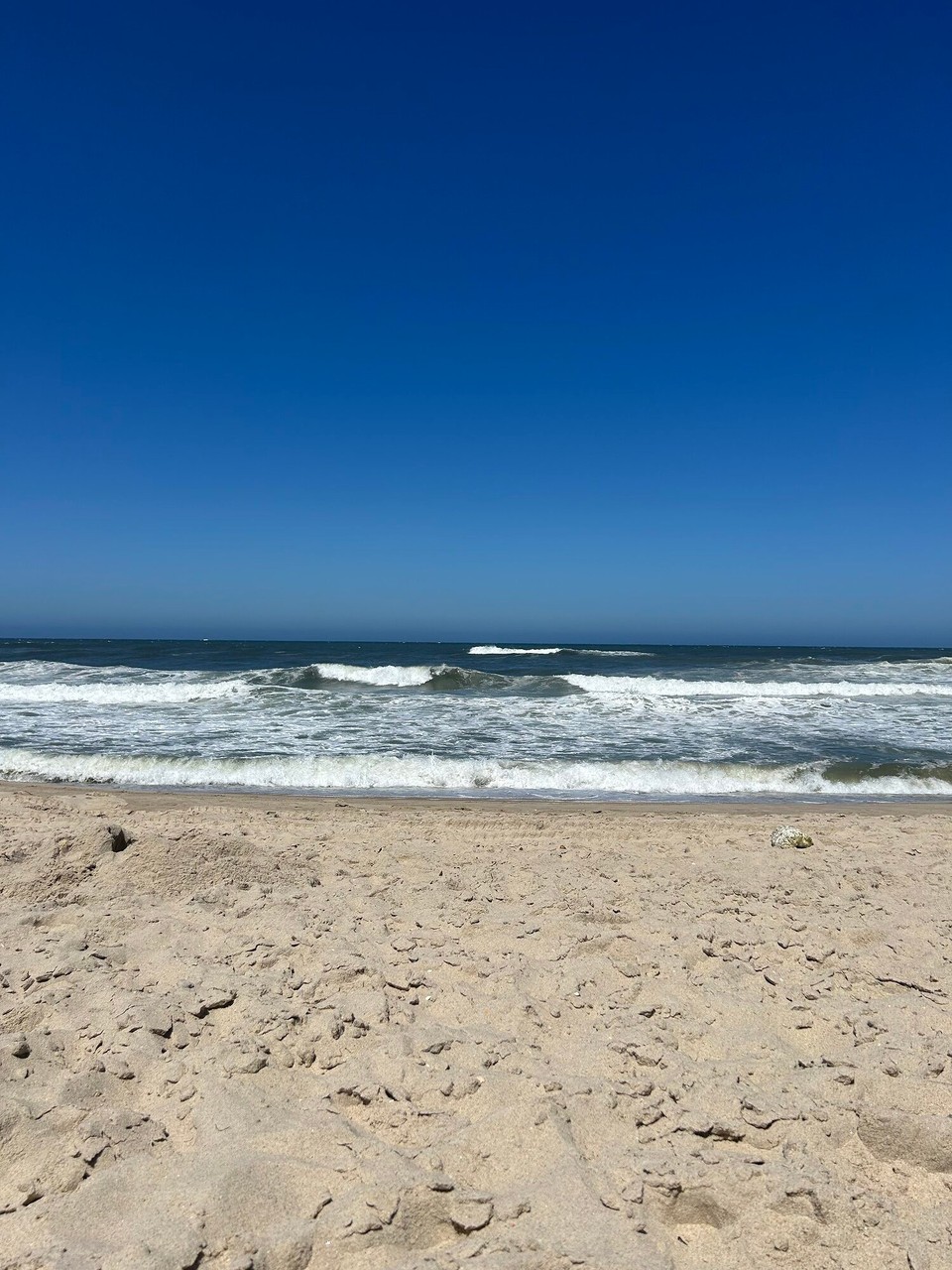 Portugal - Praia de Mira - 