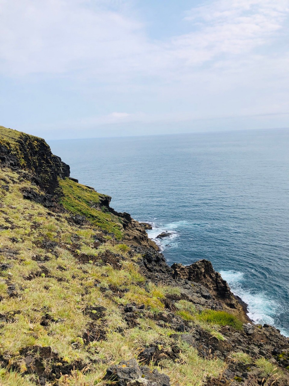 Island - Vestmannaeyjar - Typische isländische Papageitaucher Klippen…