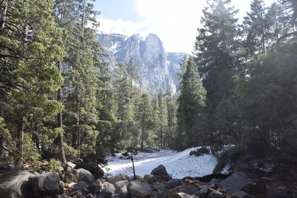 USA - Yosemite-Nationalpark - Ein kleines Schneefeld