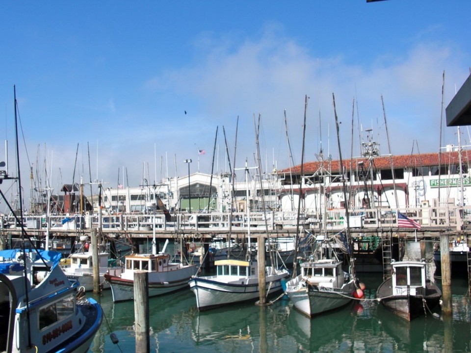 United States - San Francisco - 