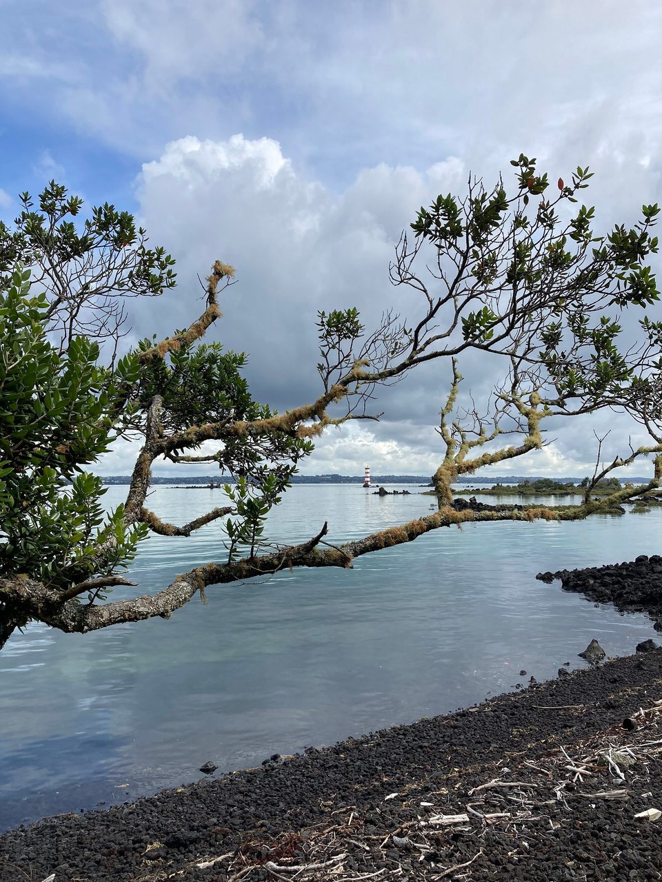 Neuseeland - Waitemata and Gulf Ward - 