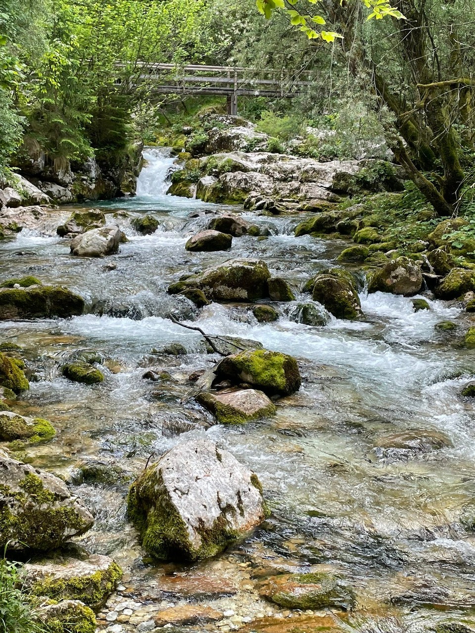 Slowenien - Soča - 
