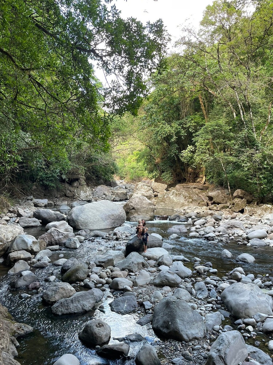 Panama - Boquete - 