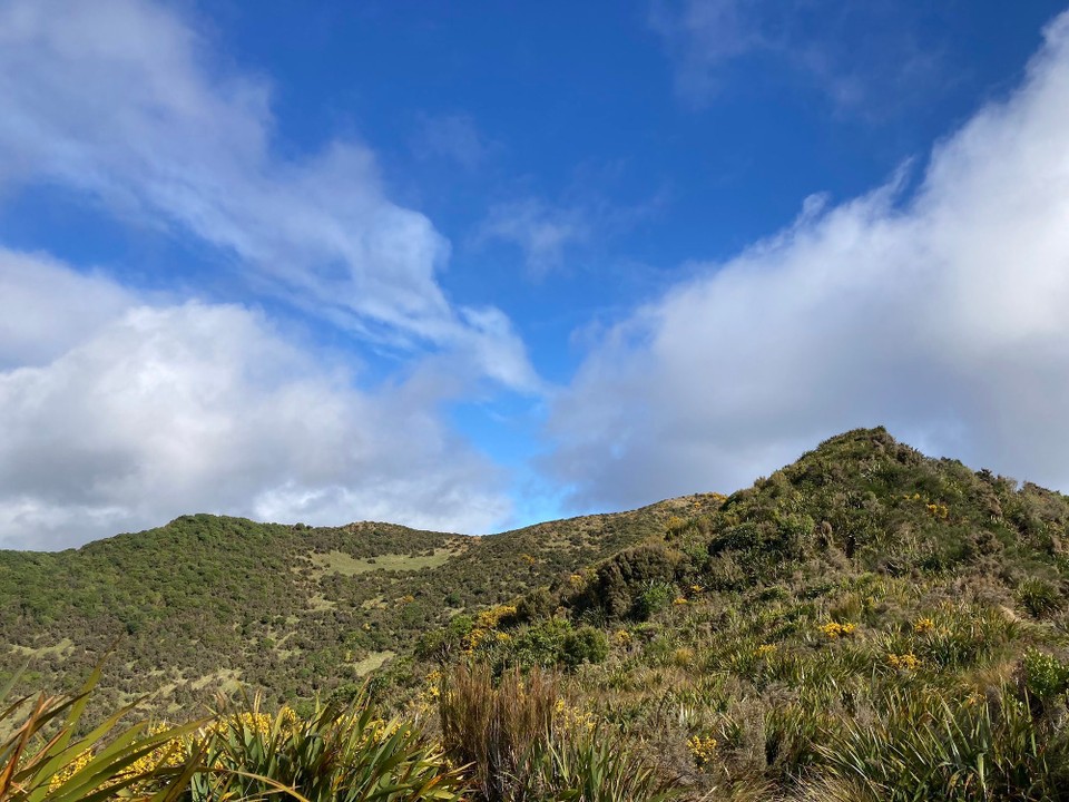 Neuseeland - Gore - Ziemlich wechselhaftes Wetter mal wieder - eine Seite Regen, die andere mit Sonnenschein