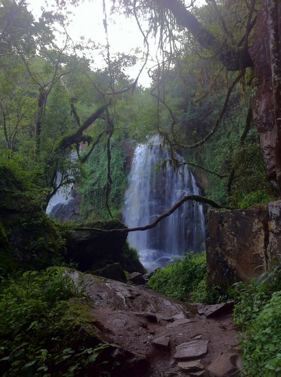 Südafrika - Sabie - Horse Shoe Falls am Sabie River mit Regenwald-Feeling.