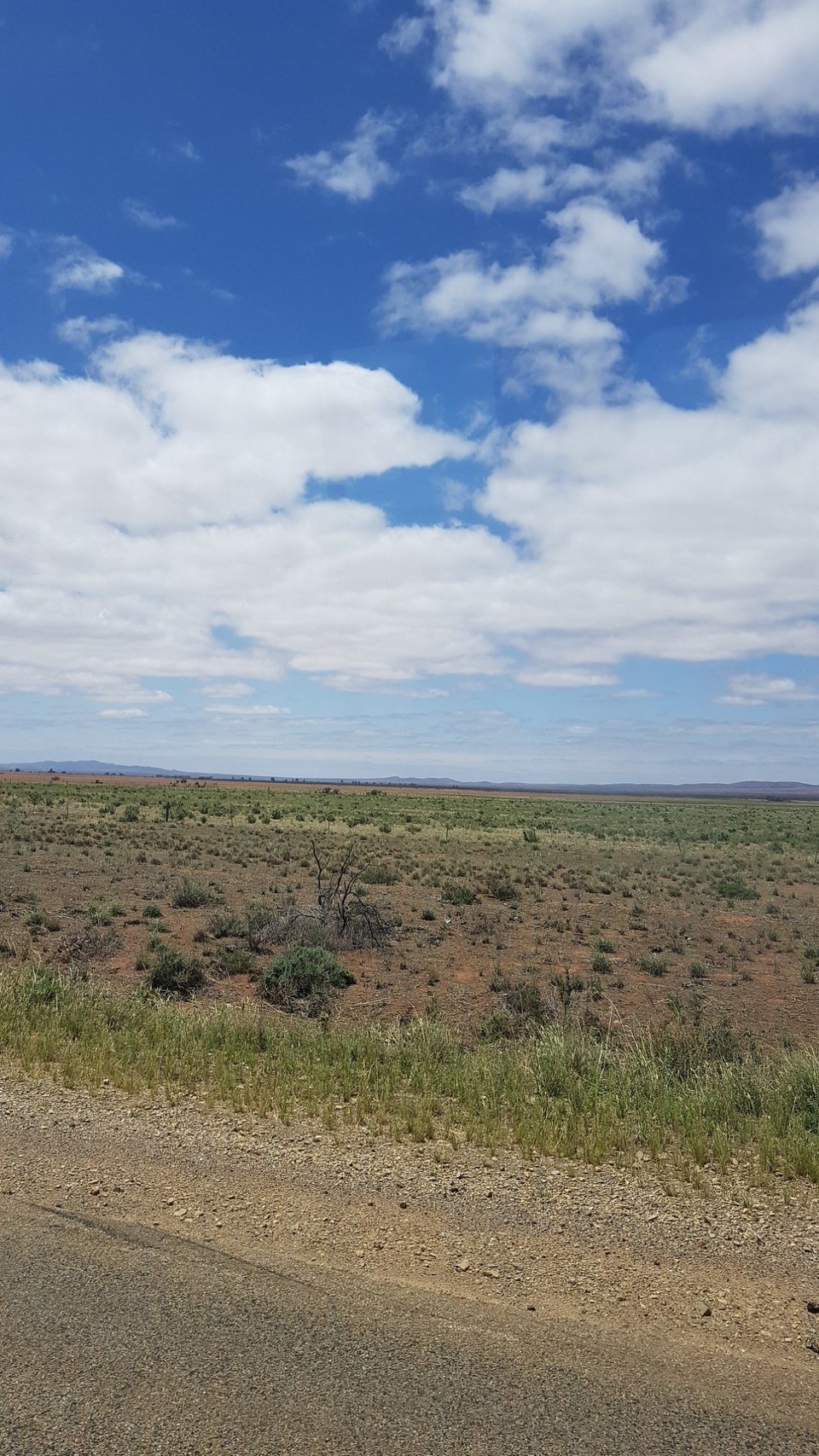 Australien - Via Hawker - Irgendwo im Nirgendwo.