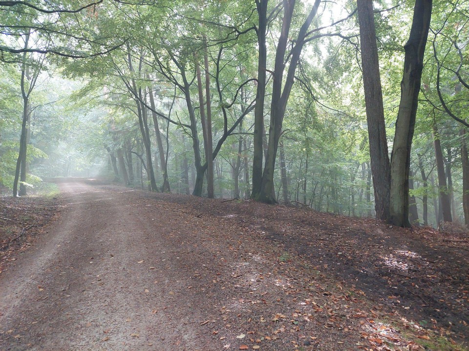Deutschland - Buchholz in der Nordheide - 
