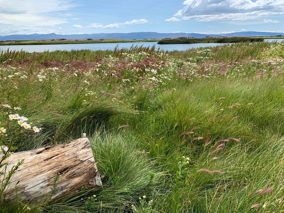 Argentinien - El Calafate - 