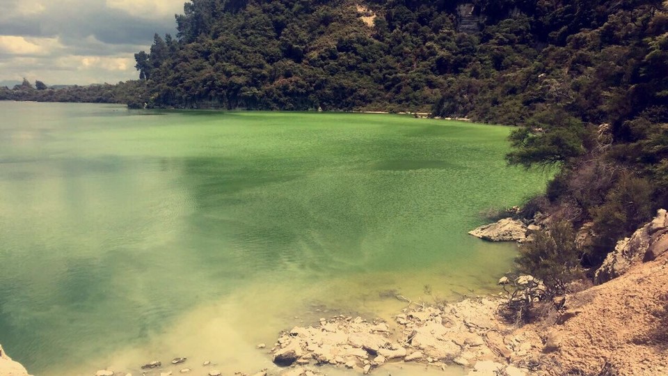 New Zealand - Waiotapu - 