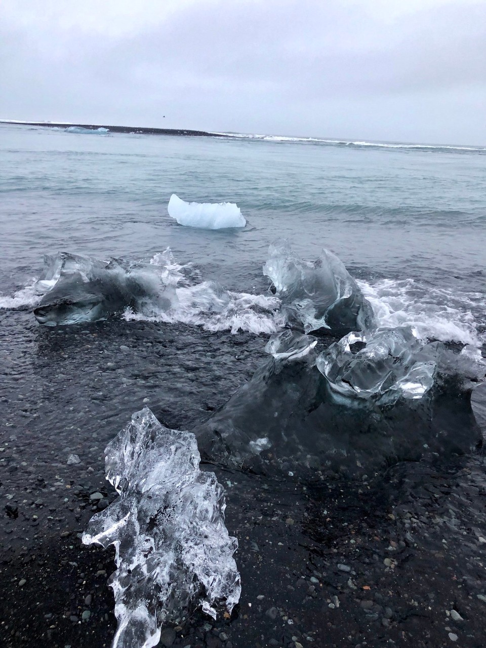 Island - Sveitarfélagið Hornafjörður - Hammerschön auch dieser Kontrast mit dem Eis und dem tiefschwarzen Strand...