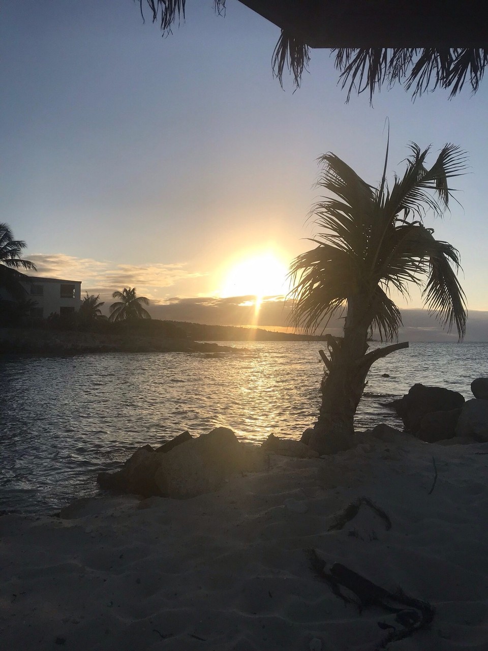 Antigua and Barbuda - Antigua and Barbuda - 