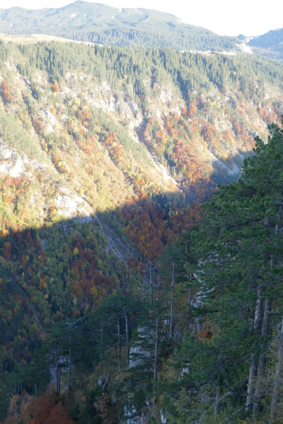 Montenegro - Ćurevac - 