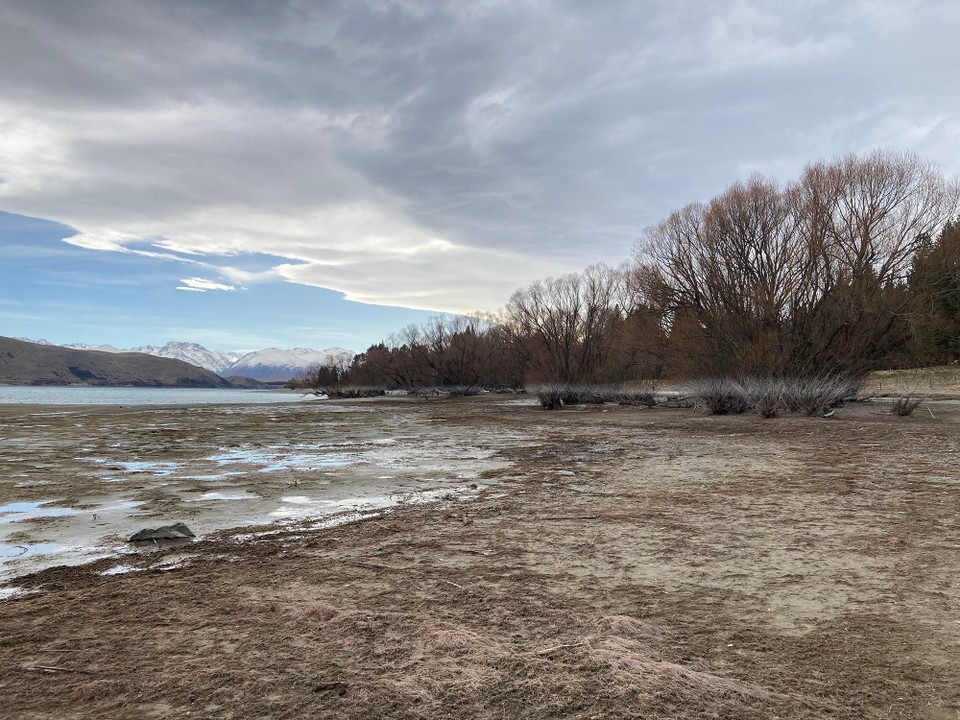 Neuseeland - Lake Tekapo - An den Bäumen sieht man wo das Wasser normalerweise steht 😳