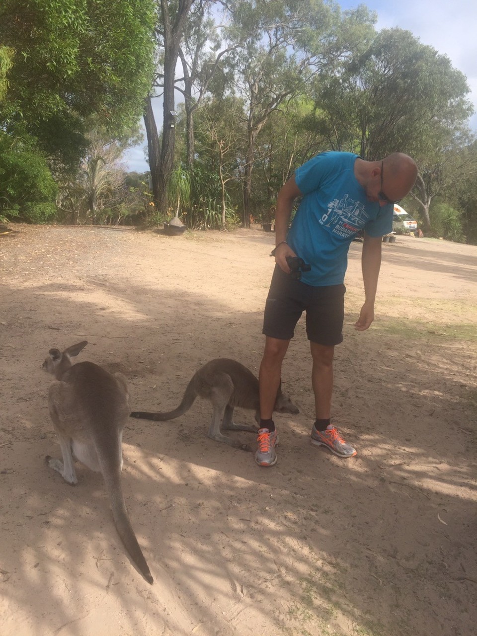  - Australia, Agnes Water, Horizons Kangaroo Sanctuary - 