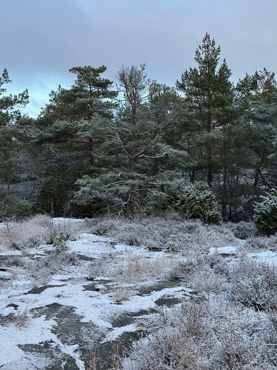 Schweden - Tanumshede - 