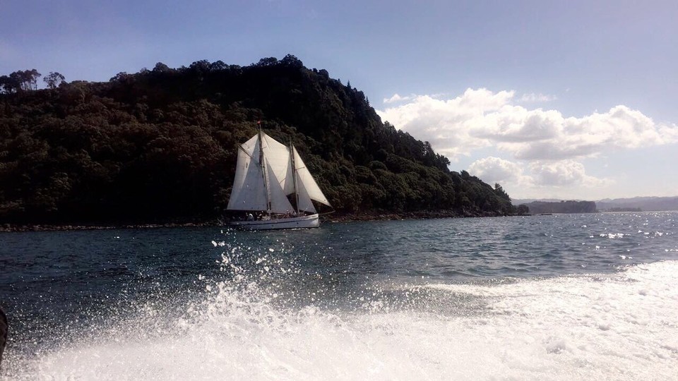 New Zealand - Whangapoua - 