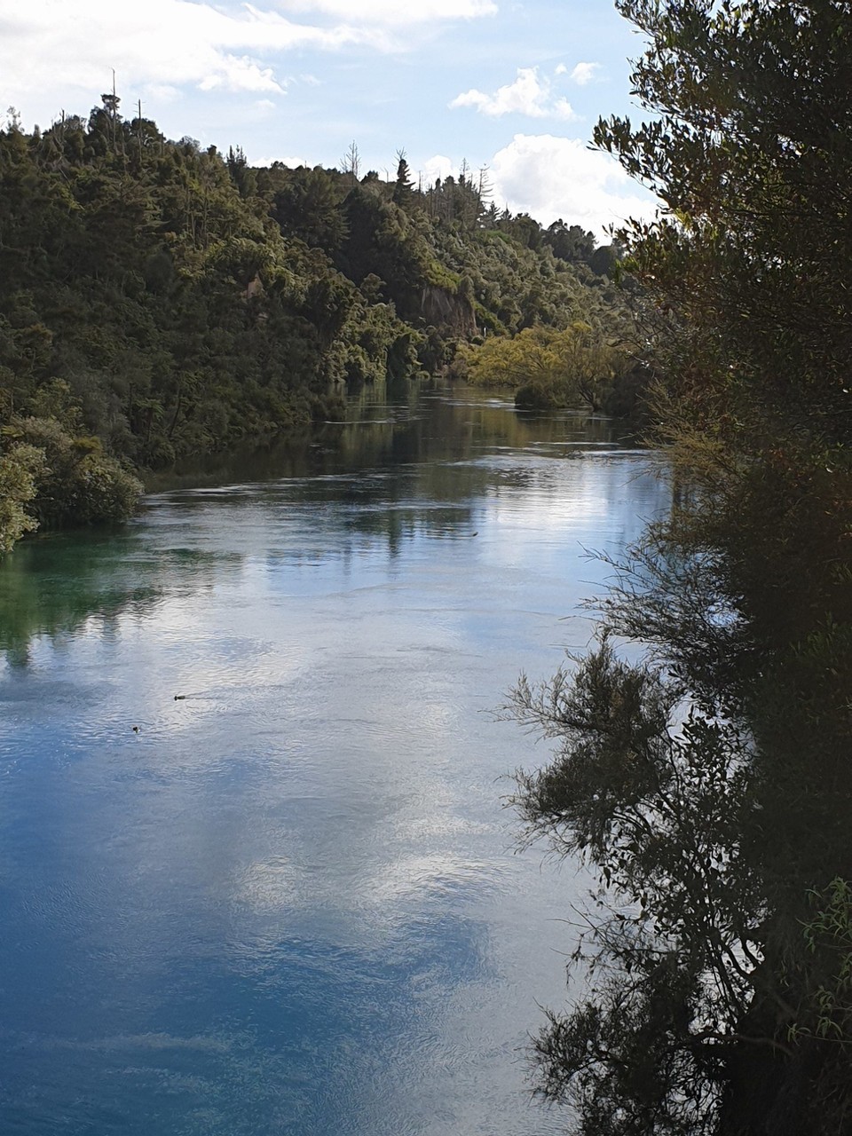 Neuseeland - Taupo - 