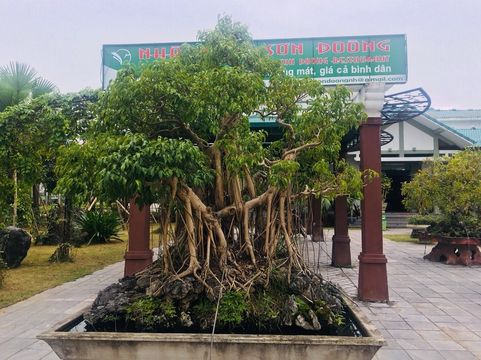 Vietnam - Dong Hoi - 