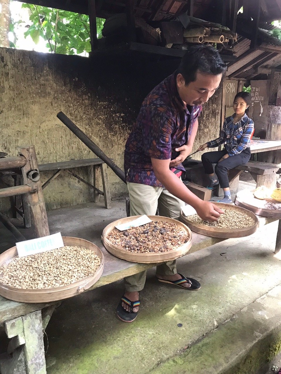 Indonesia - Gianyar - Would you like your coffee with or without Luwak poo?