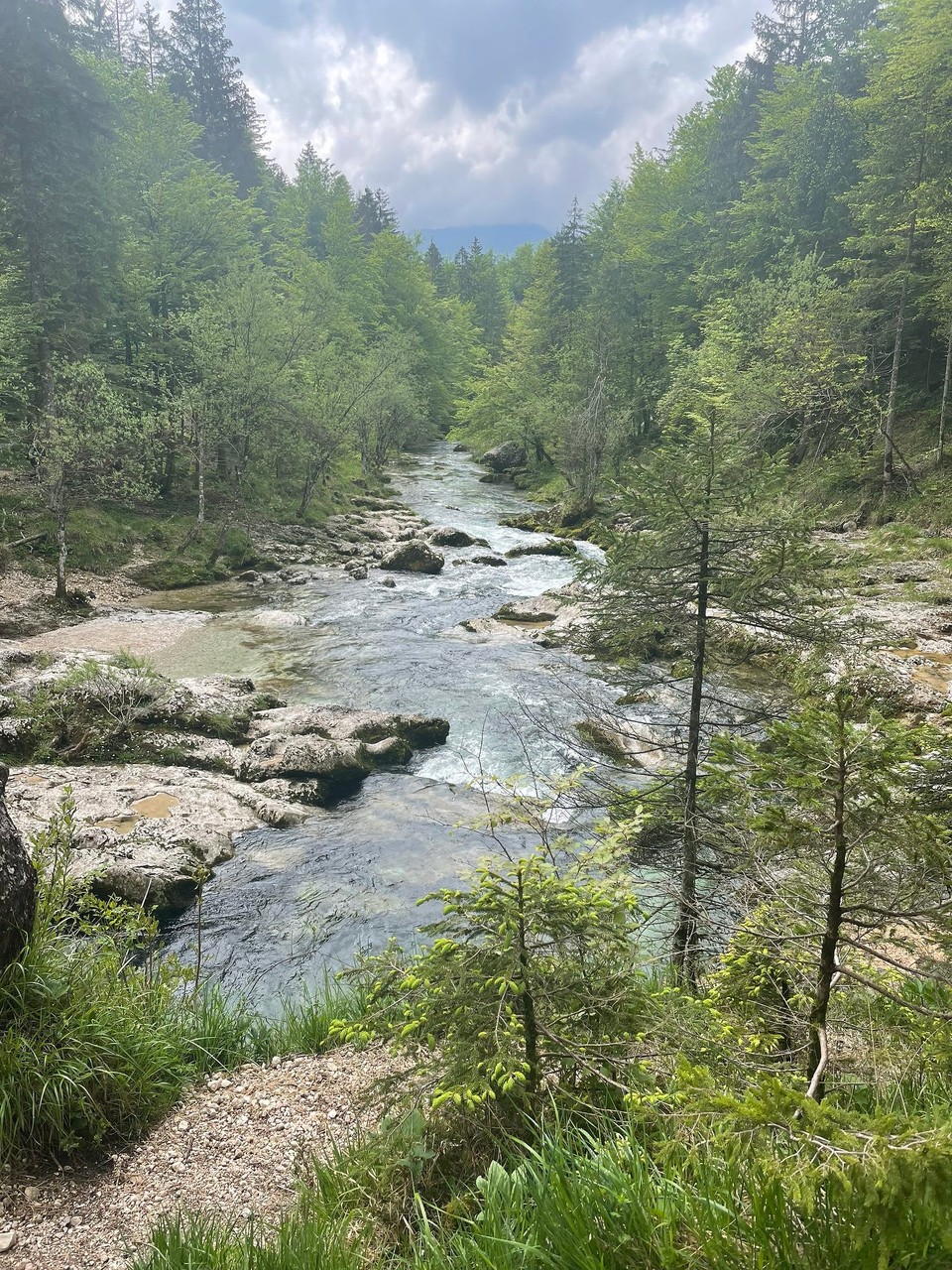 Slowenien - Bohinjsko Jezero - 