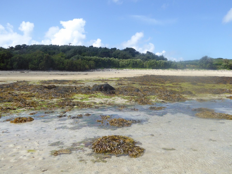 United Kingdom - Isles Of Scilly - When the tide went out, we could see they were right! Liam very kindly showed us an exact spot where we would settle on level ground.