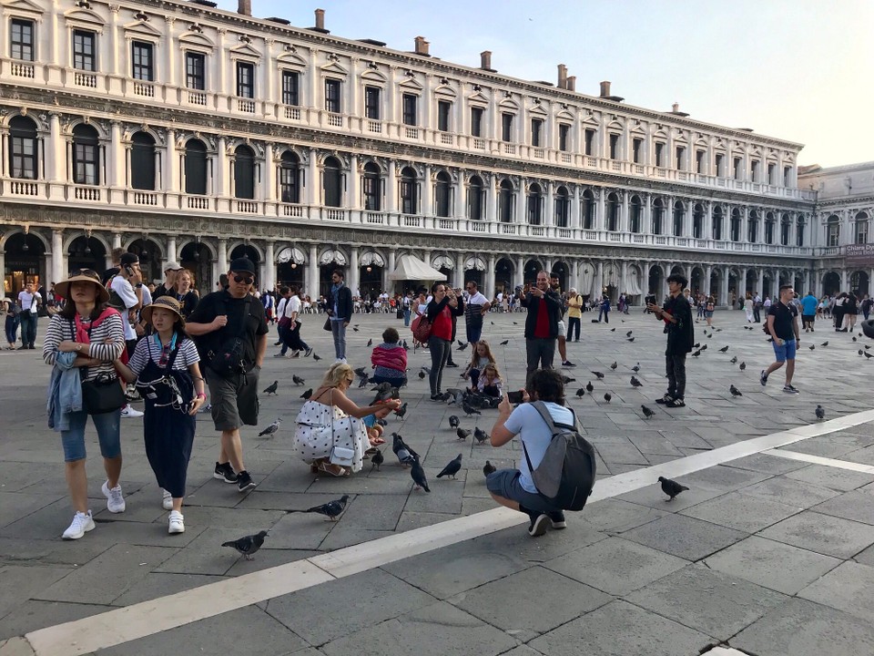 Italien - Venedig - Taubenbilder auf dem Markusplatz