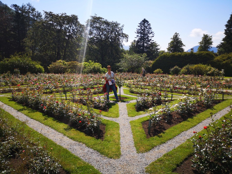 Norwegen - Tysse - mit Rosengarten 