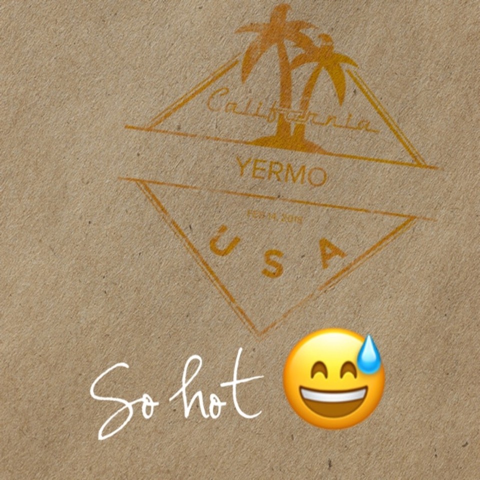 USA - Calico - 