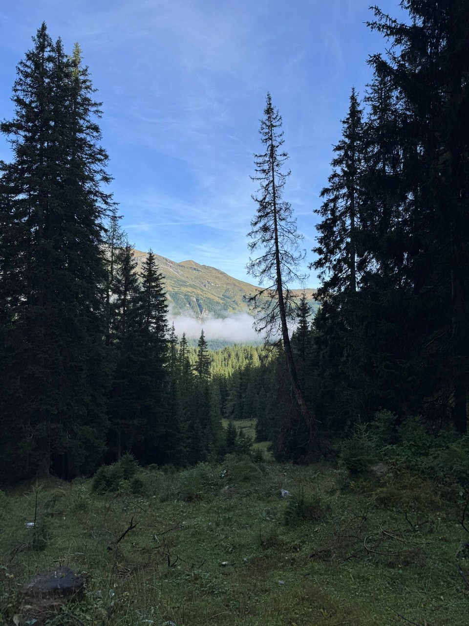 Österreich - Obernberg am Brenner - 