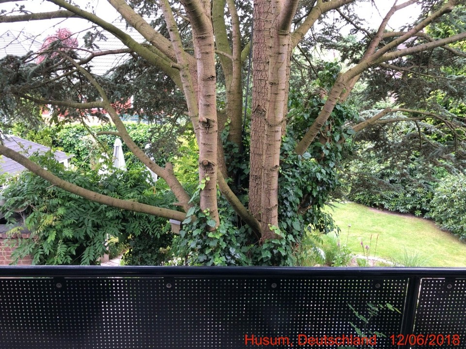 Deutschland - Husum - Garten von der Terrasse aus