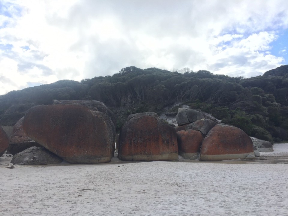  - Australia, Wilsons Promontory National Park, Squeaky Beach - 