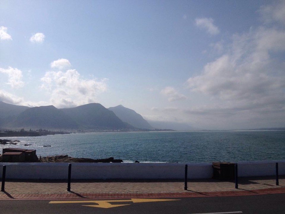 Südafrika - Hermanus - Um Wale zu beobachten kann man entweder mit einem Schiff aufs Meer hinaus fahren oder in der wunderschönen Bucht wenn man ein Fernglas hat die Wale bestaunen.