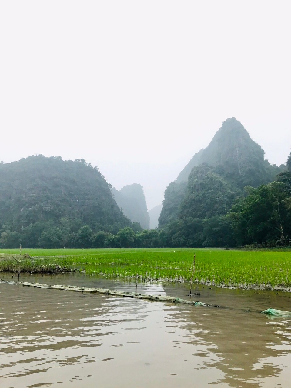 Vietnam - H. Hoa Lư - 
