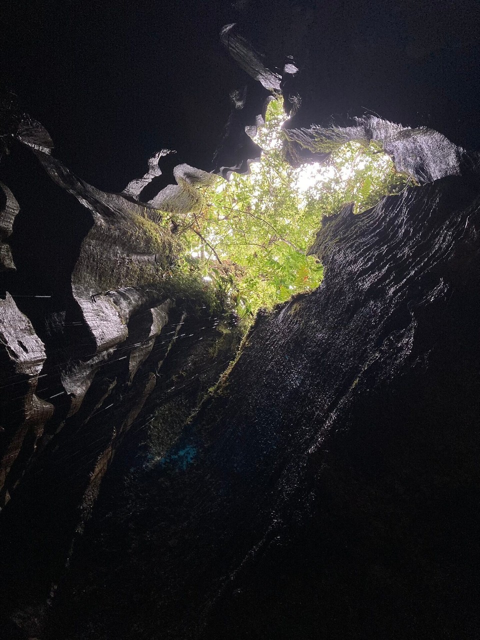 Neuseeland - Kahurangi National Park - 