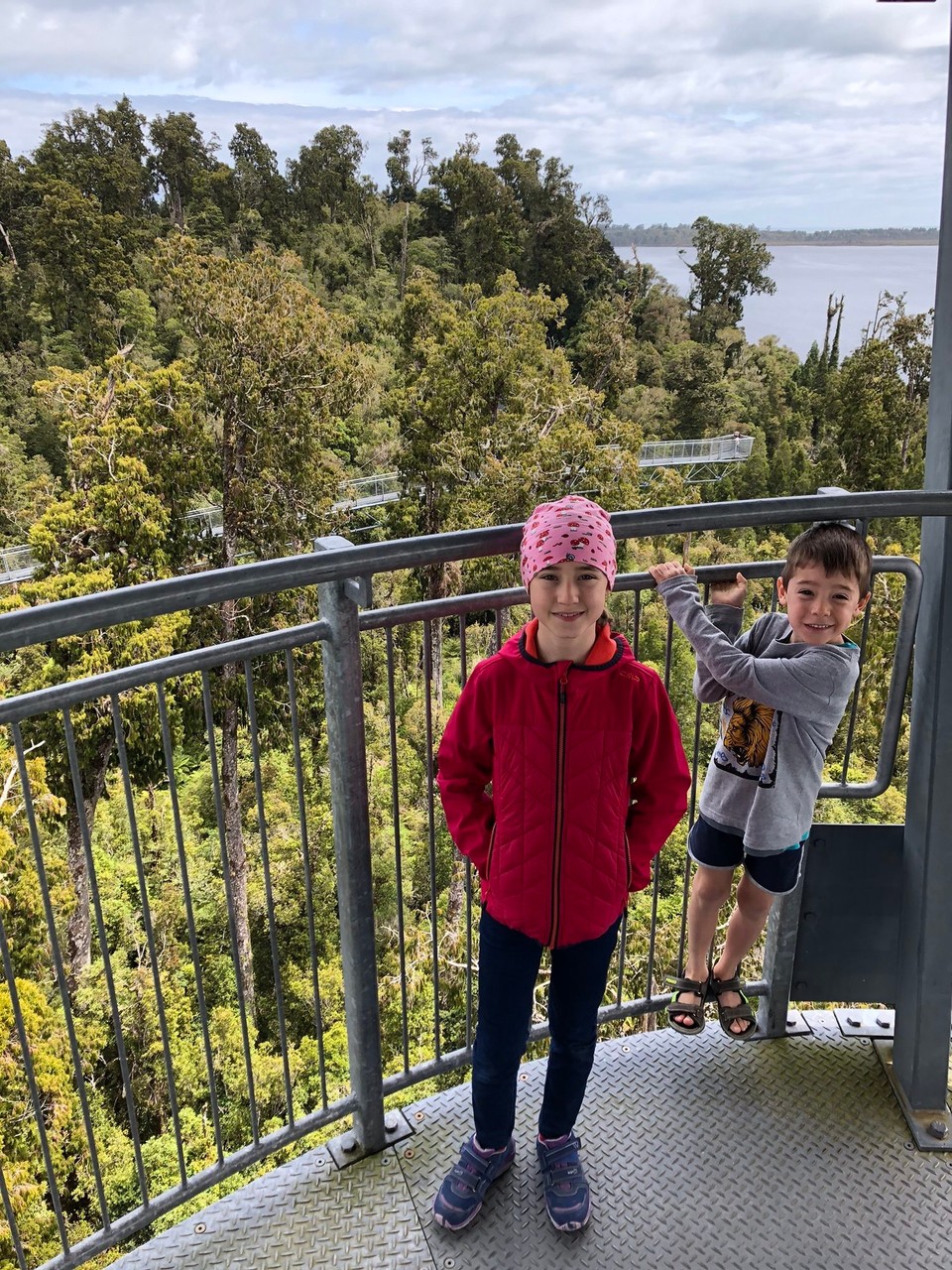 Neuseeland - Ruatapu - Auf dem West Coast Treetop.